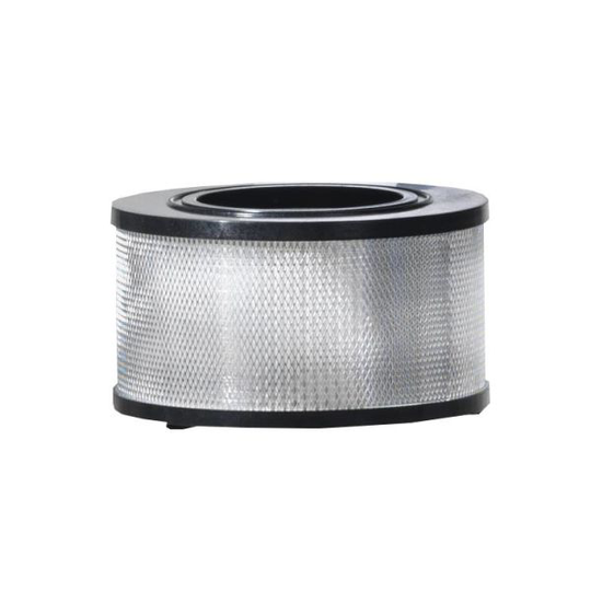 Nilfisk 107413555 HEPA-filter H-klass