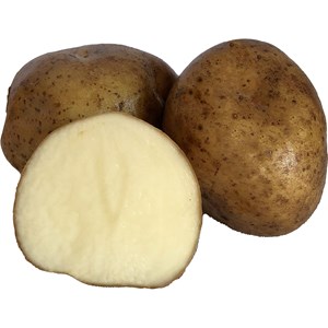 Sättpotatis Rocket Vår 15 kg