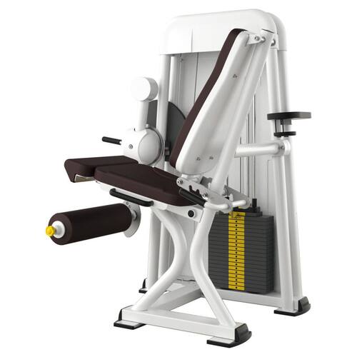 ERGO-FIT Leg extension 4000
